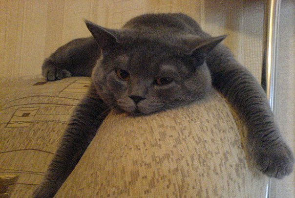 x_24308716.jpg x_24308716.jpg